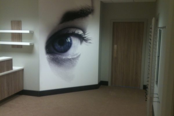 Vision Insight Vision Insight shop fit